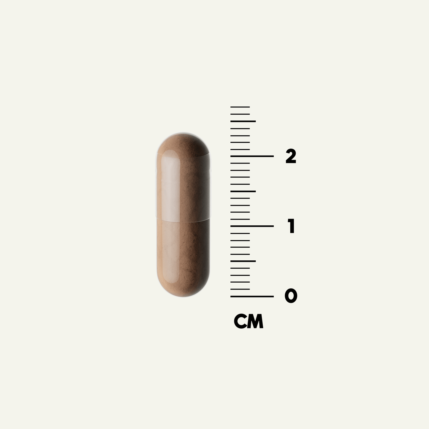 Grass-fed beef organ capsule next to a measuring scale in centimeters.