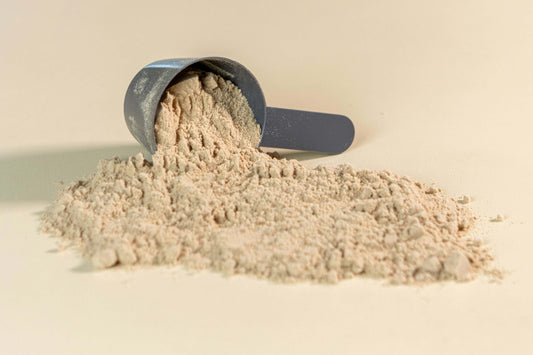 Whey Protein Powder vs Beef Protein Powder – What is the Difference?